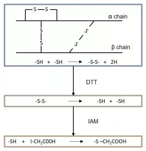 Figure 1. Schematic Diagram of the Principle of Reduction and Alkylation